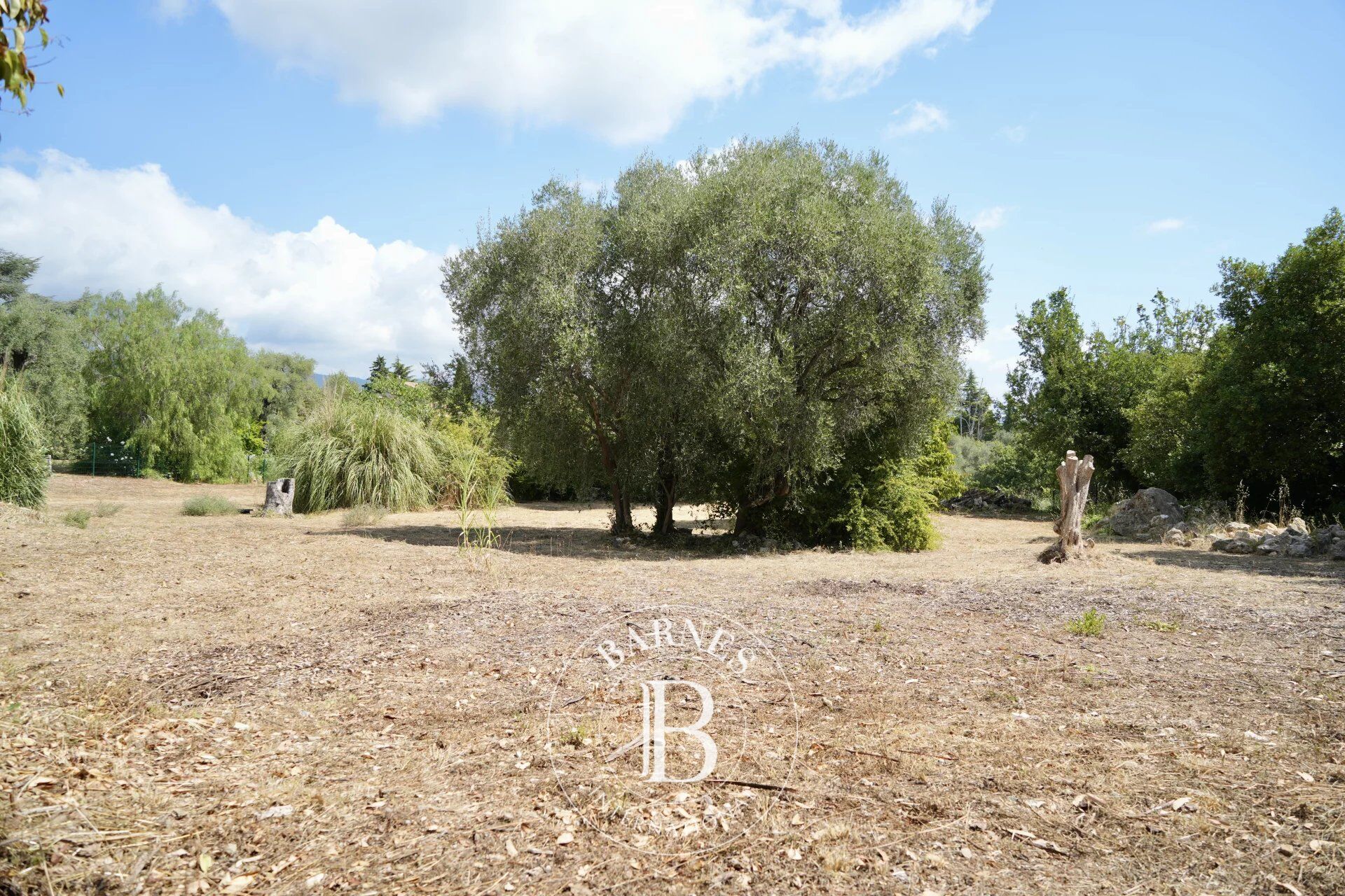 Arazi Roquefort-les-Pins - picture 5