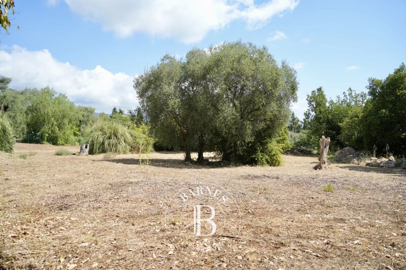 Roquefort les Pins - Terrain 2 749 m² - Permis purgé