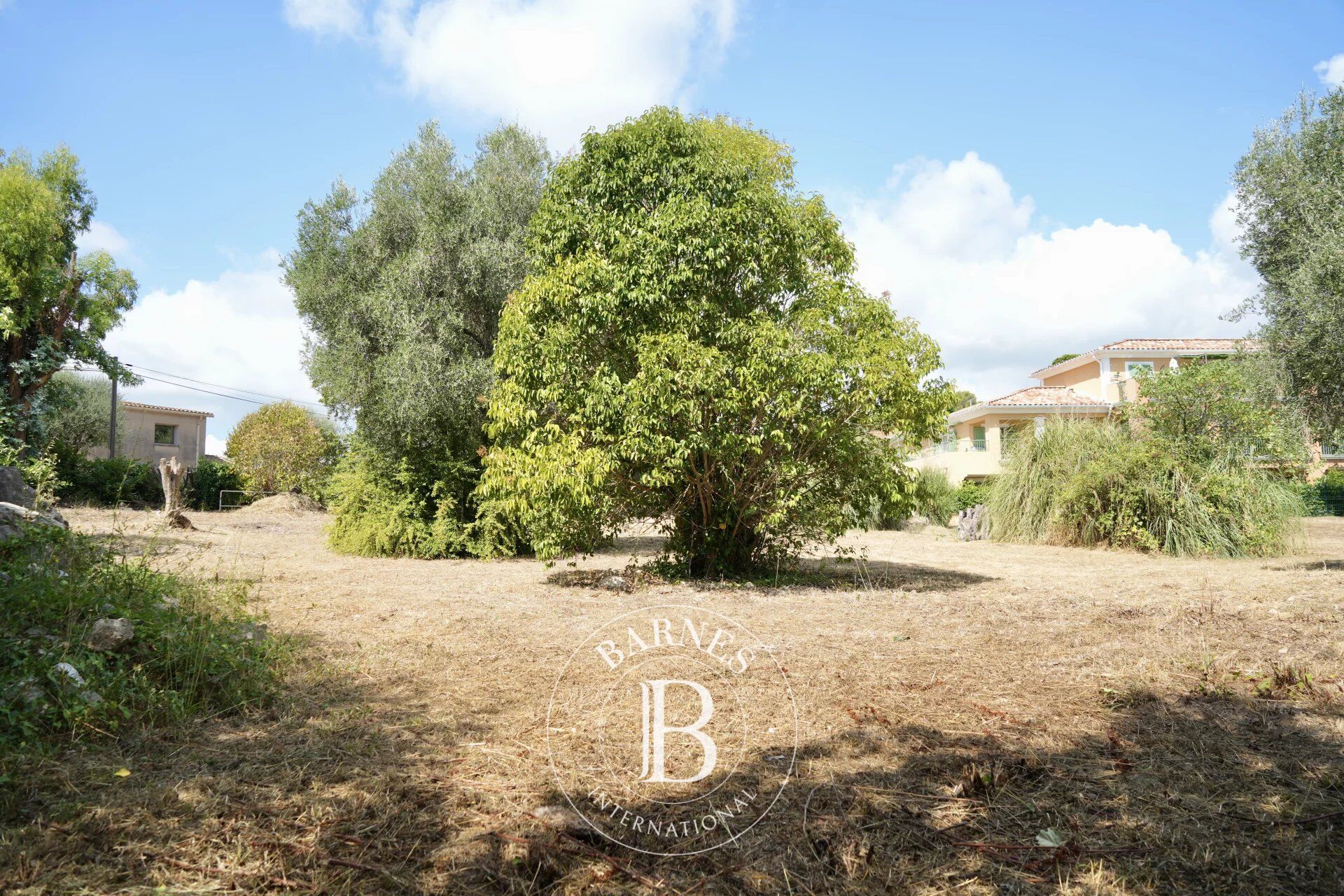 Arazi Roquefort-les-Pins - picture 24