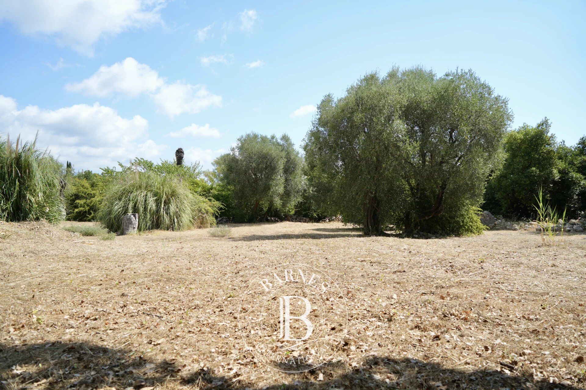 Arazi Roquefort-les-Pins - picture 13