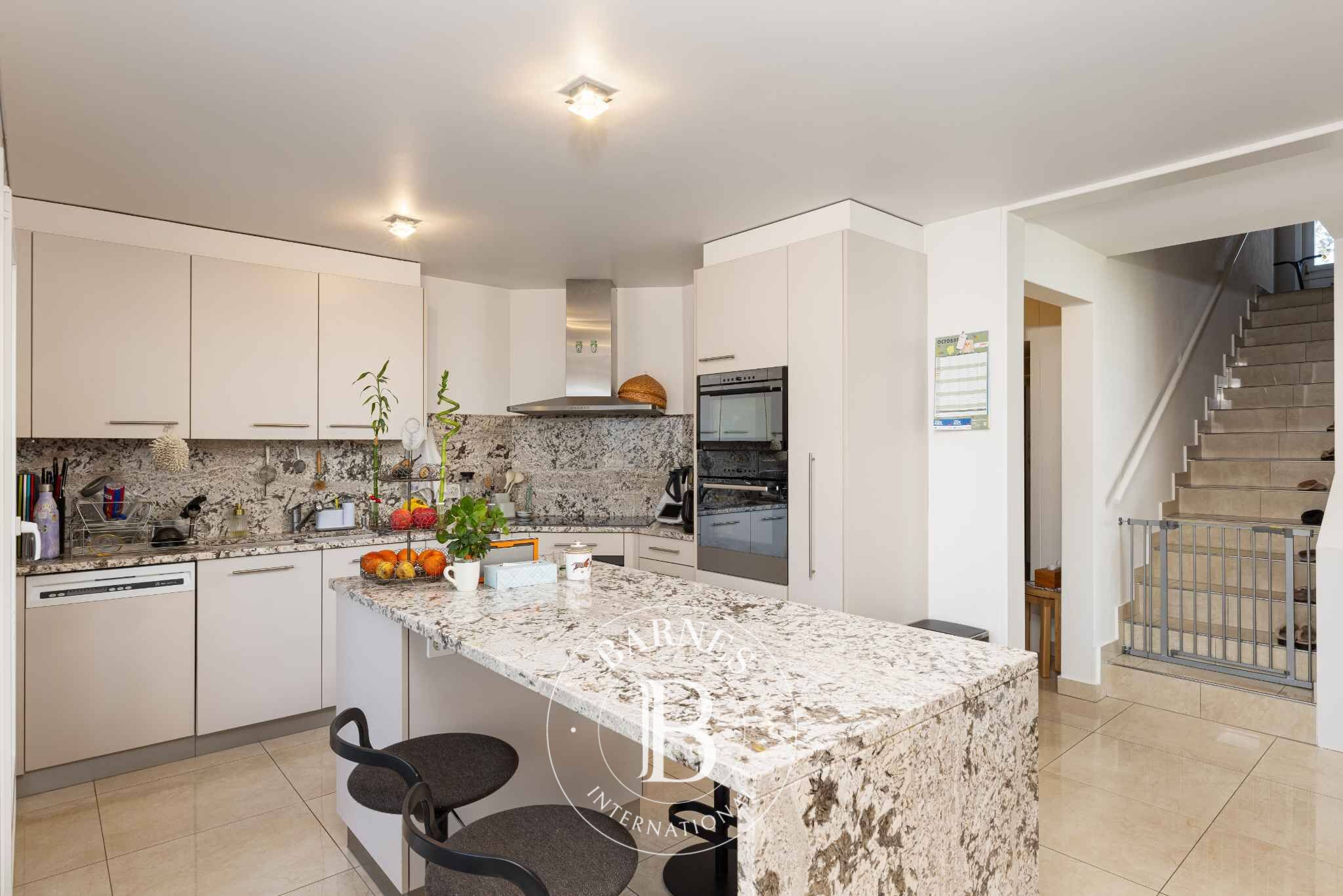 Villa Founex - picture 4