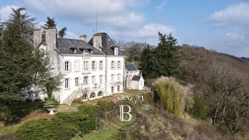 À vendre Château | Ciron - picture 2
