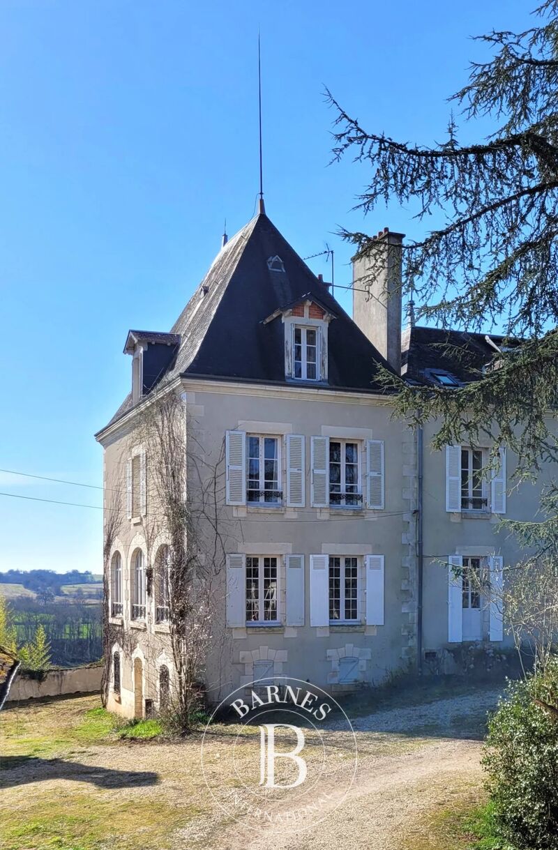 À vendre Château | Ciron - picture 3