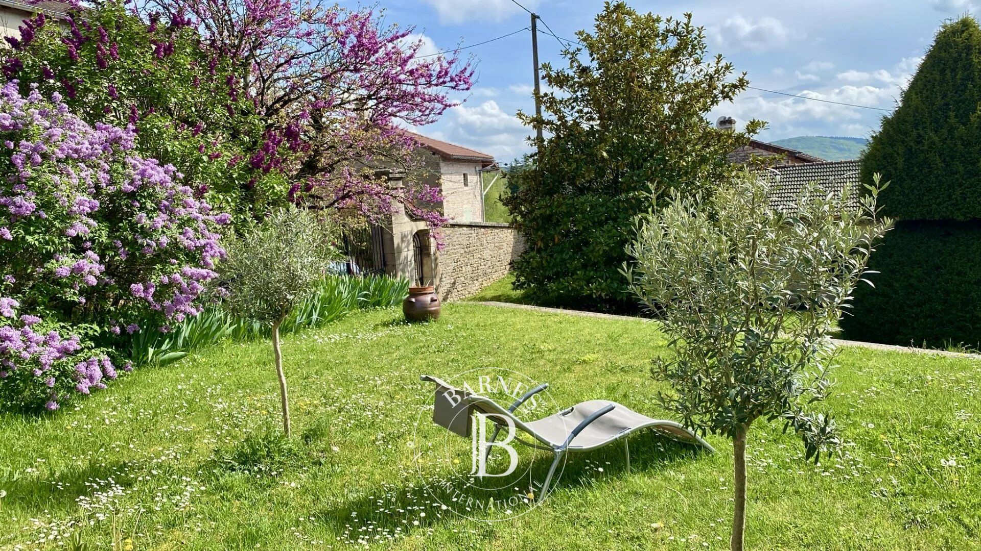 Tournus - Propriété avec galerie - Dépendances - picture 3