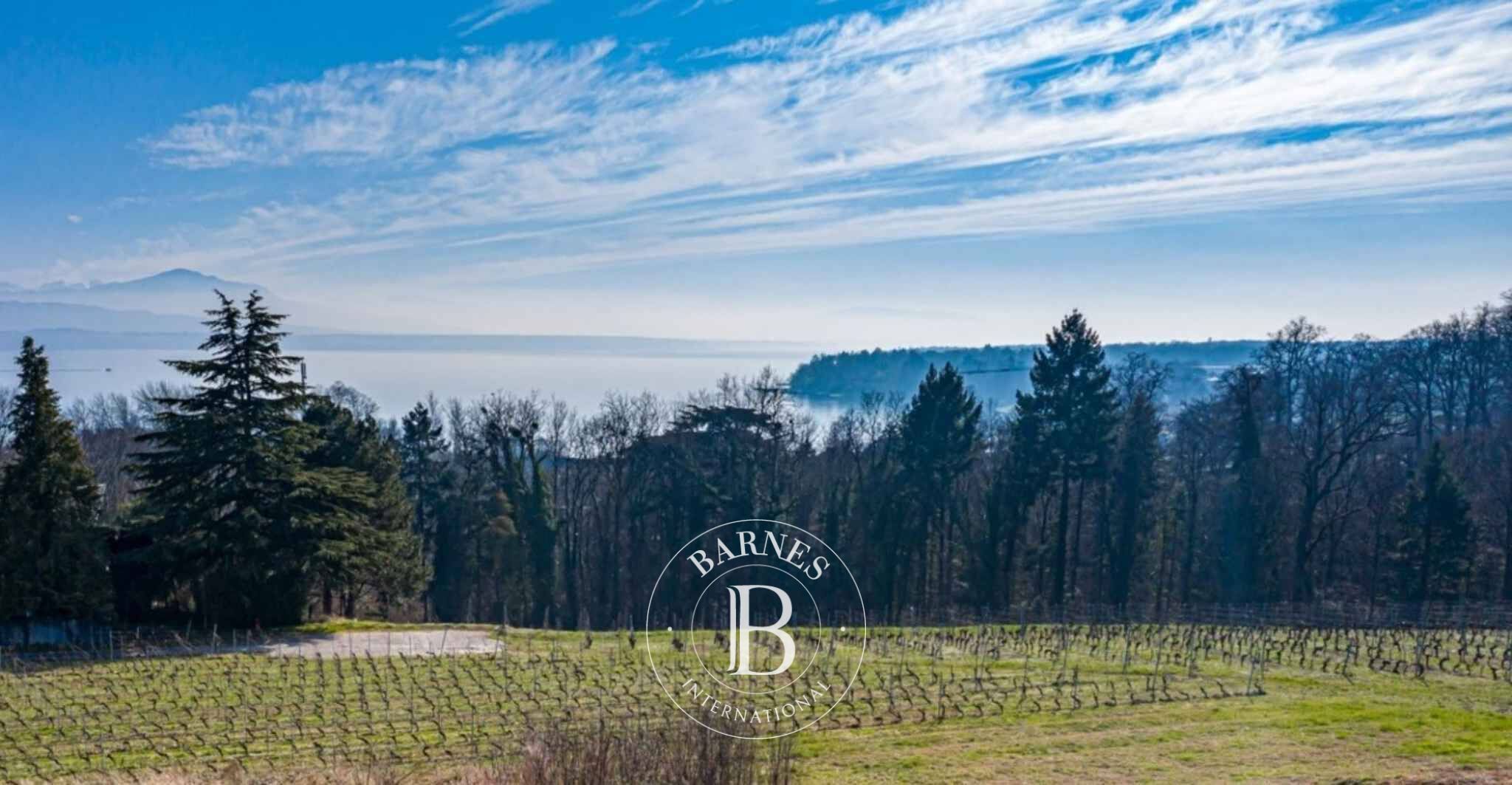 Villa Dully - picture 1