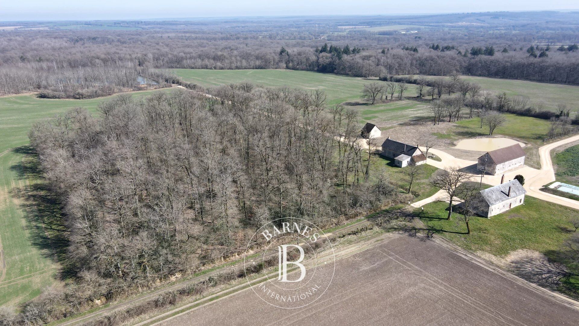 NEUVY-SUR-BARANGEON - PROPRIÉTÉ D'AGRÉMENT SUR 230 HECTARES - picture 2