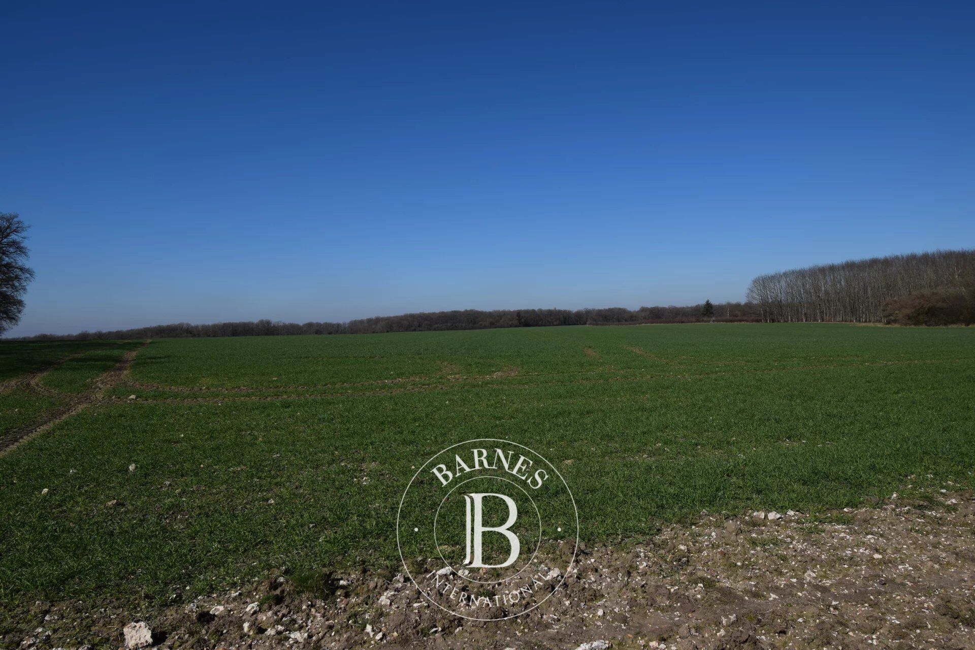 For Sale, Property Méry-ès-Bois - picture 8