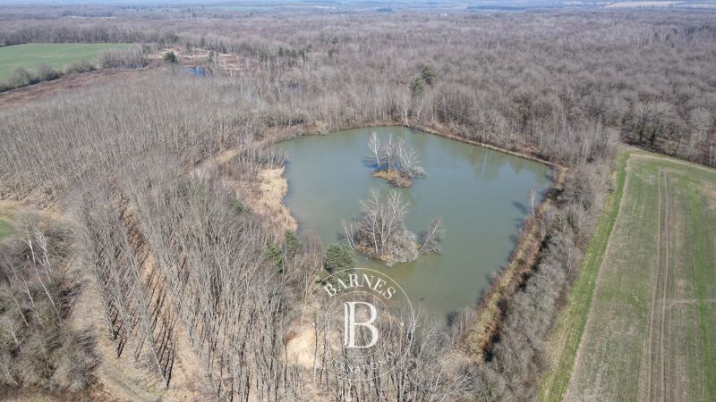 Venta, Finca Méry-ès-Bois - picture 3