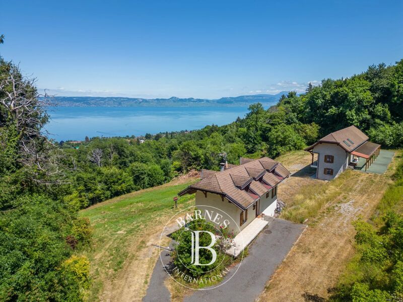 Venta, Finca Évian-les-Bains - picture 3