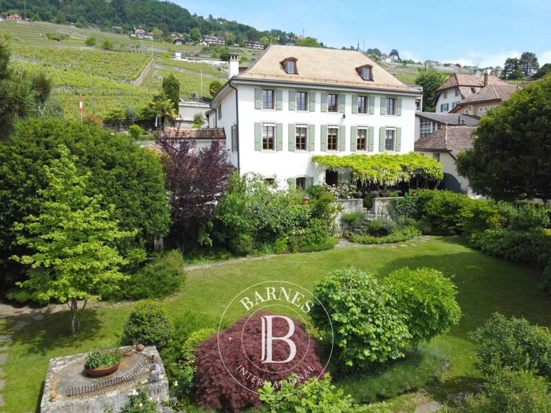 Venta, Villa Corseaux - picture 1