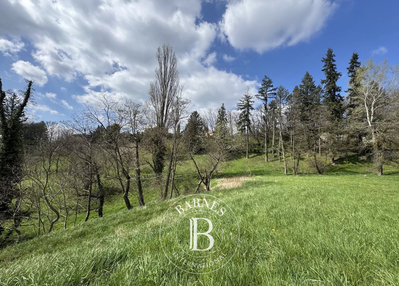 Terreno urbanizable Limonest - picture 1