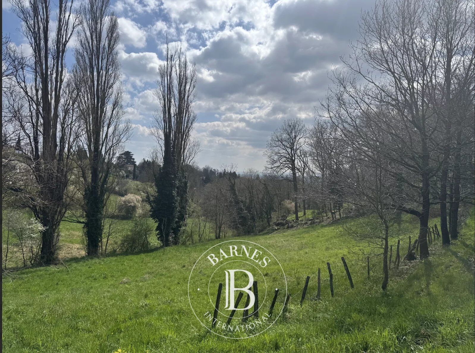 Terreno urbanizable Limonest - picture 2