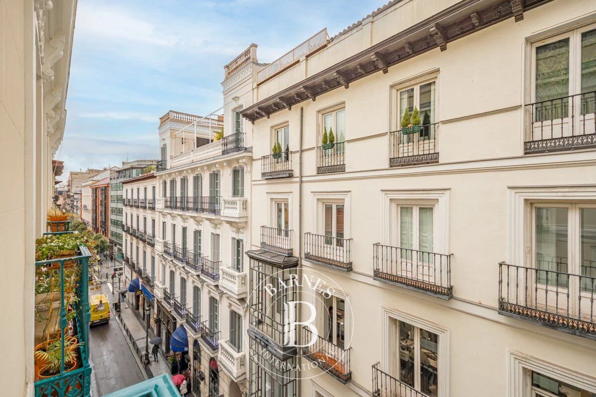 Daire Madrid - picture 21