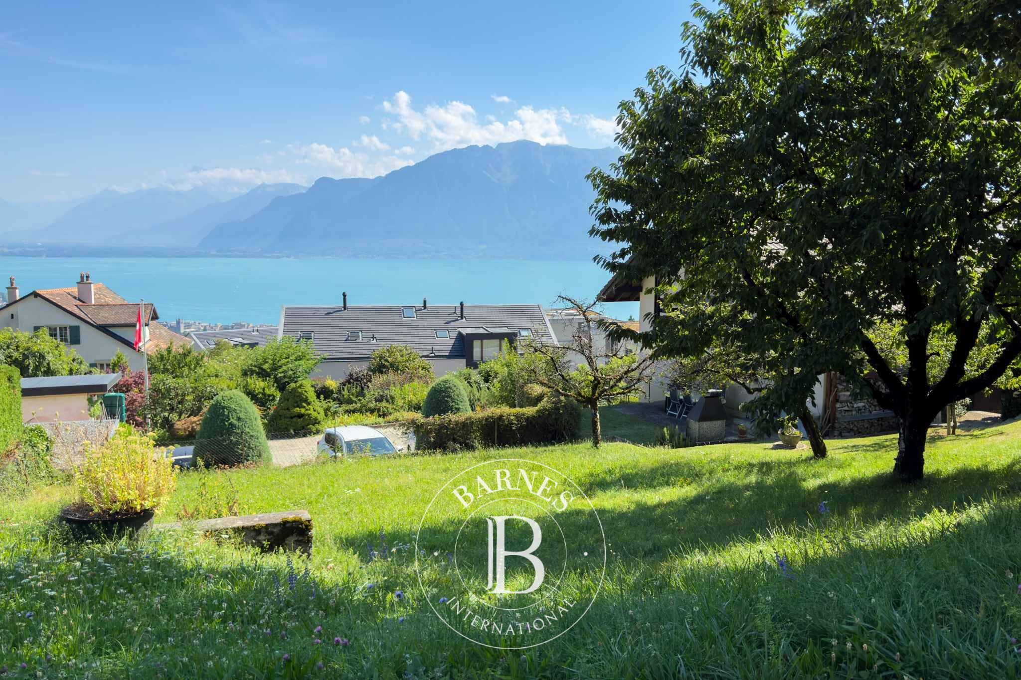 Daire Jongny - picture 10