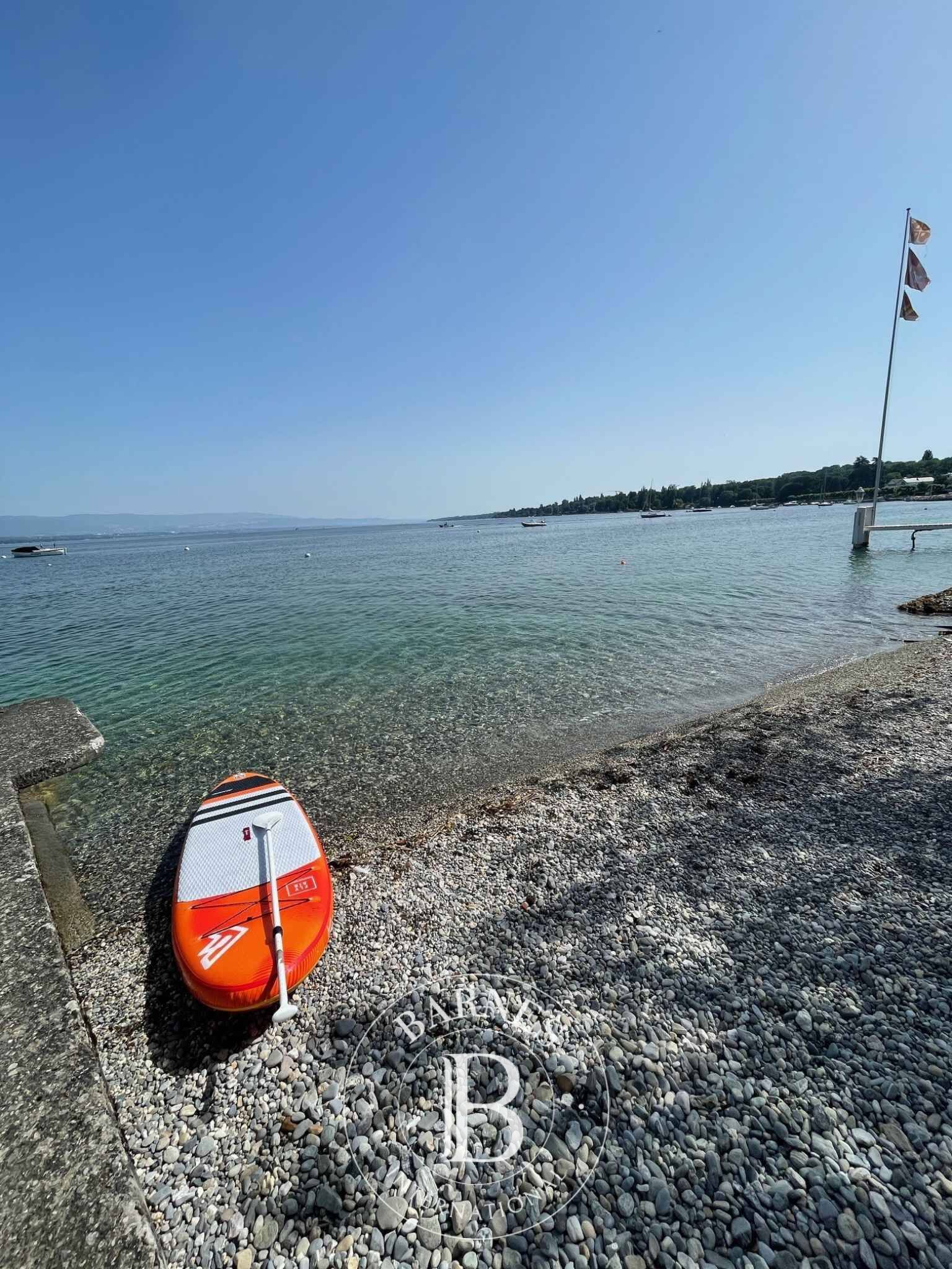 Yarı müstakil ev Collonge-Bellerive - picture 14