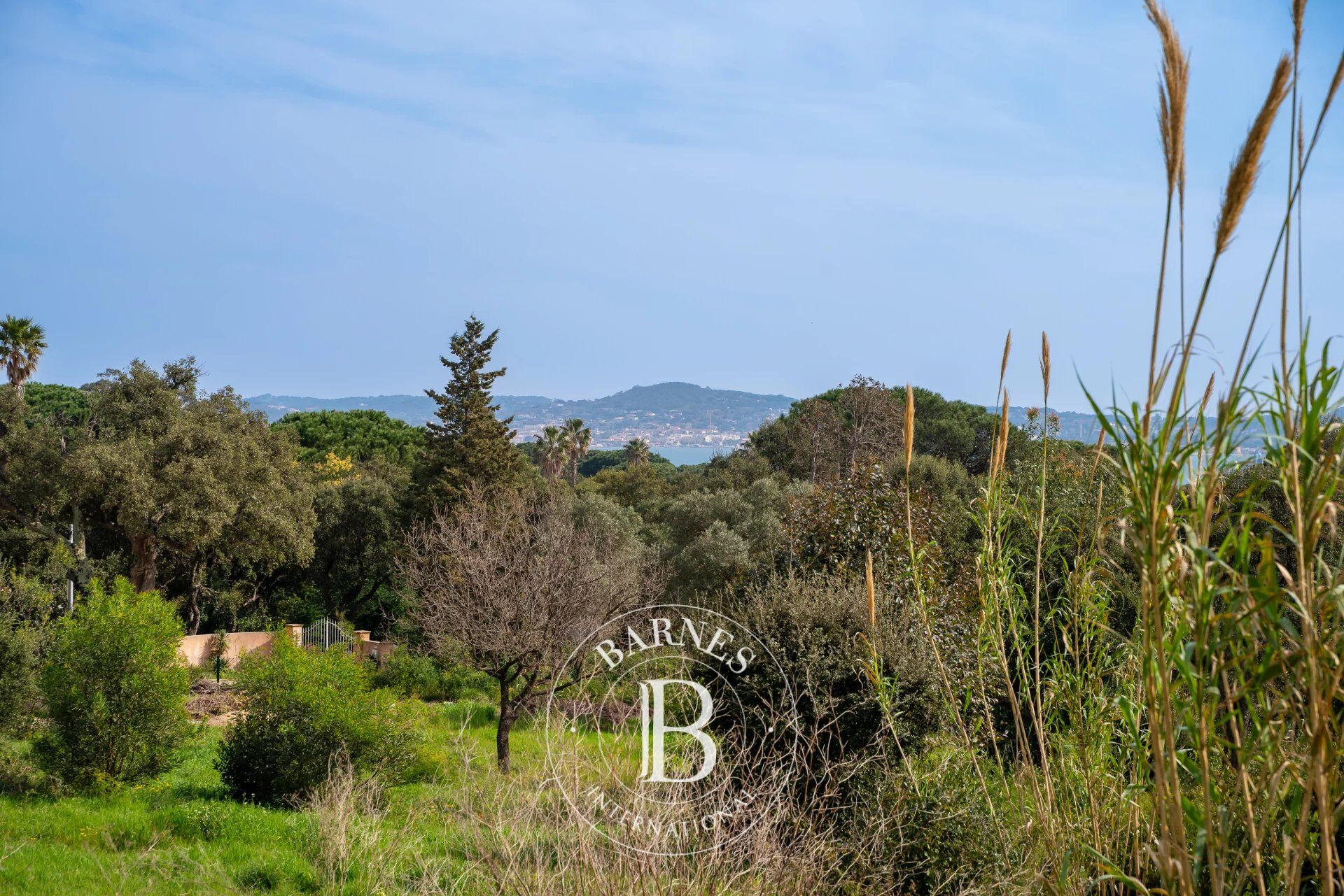 GOLFE DE SAINT TROPEZ - GRIMAUD - TERRAIN CONSTRUCTIBLE AVEC PC ACCEPTE - VUE MER - picture 2