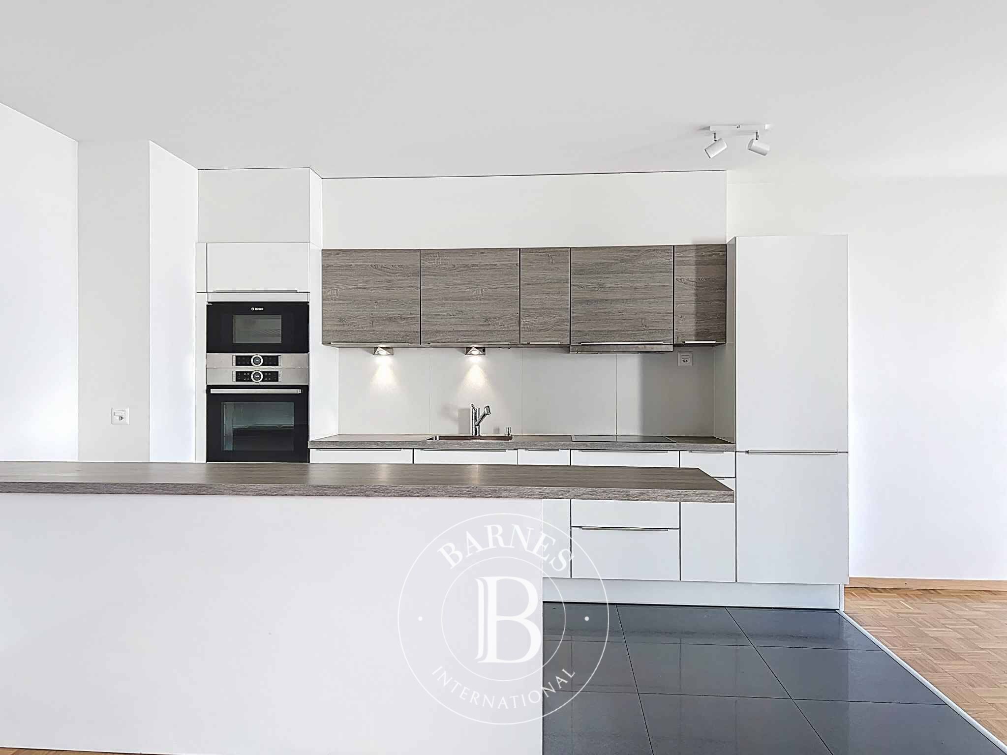 Daire Nyon - picture 4