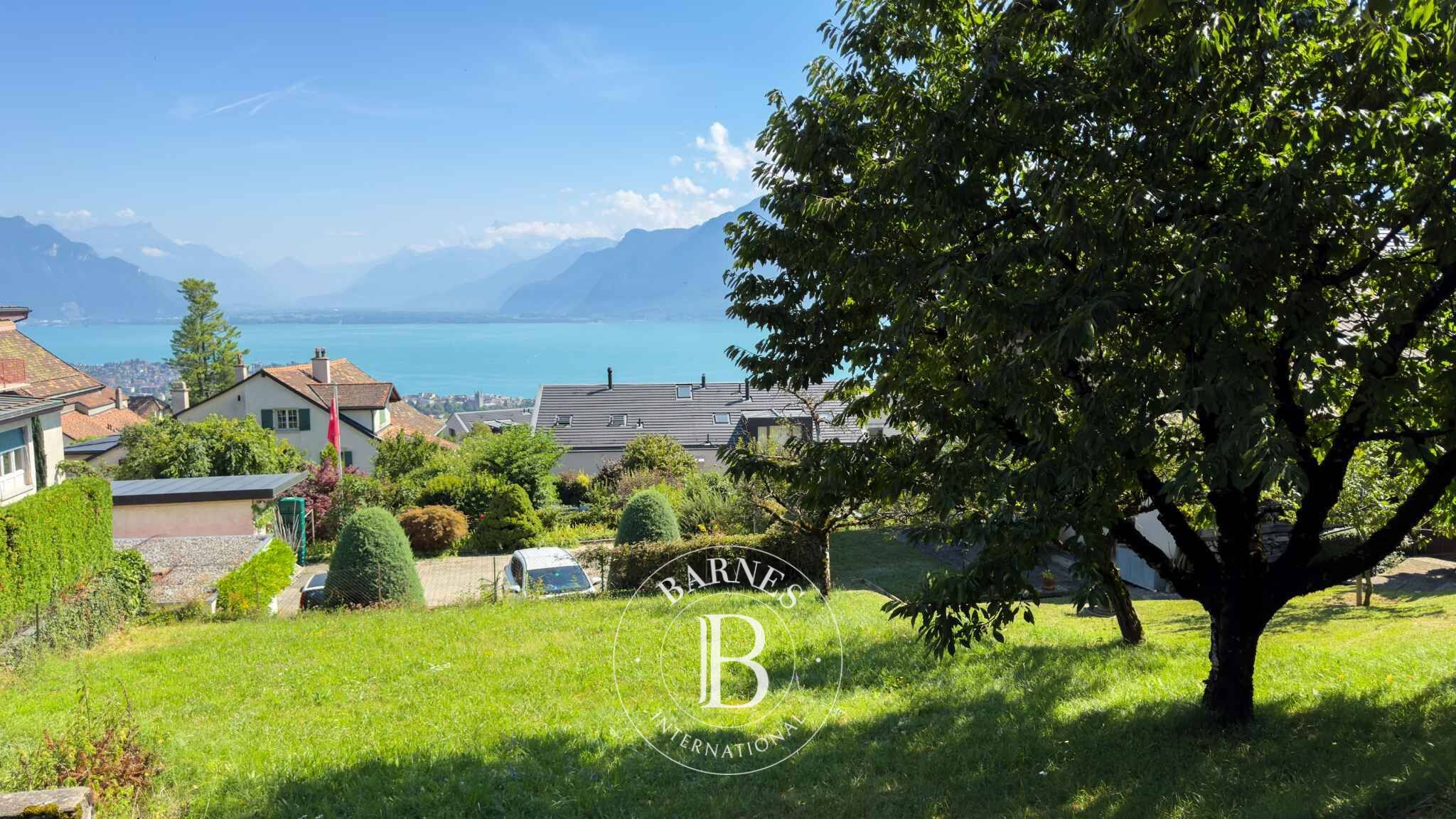 Daire Jongny - picture 6