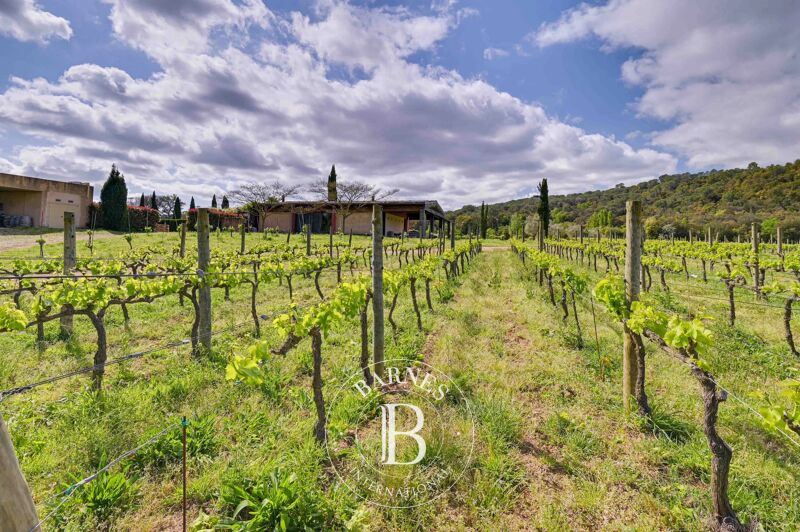 Zu verkaufen, Weingut Torrent d'Emporda - picture 3