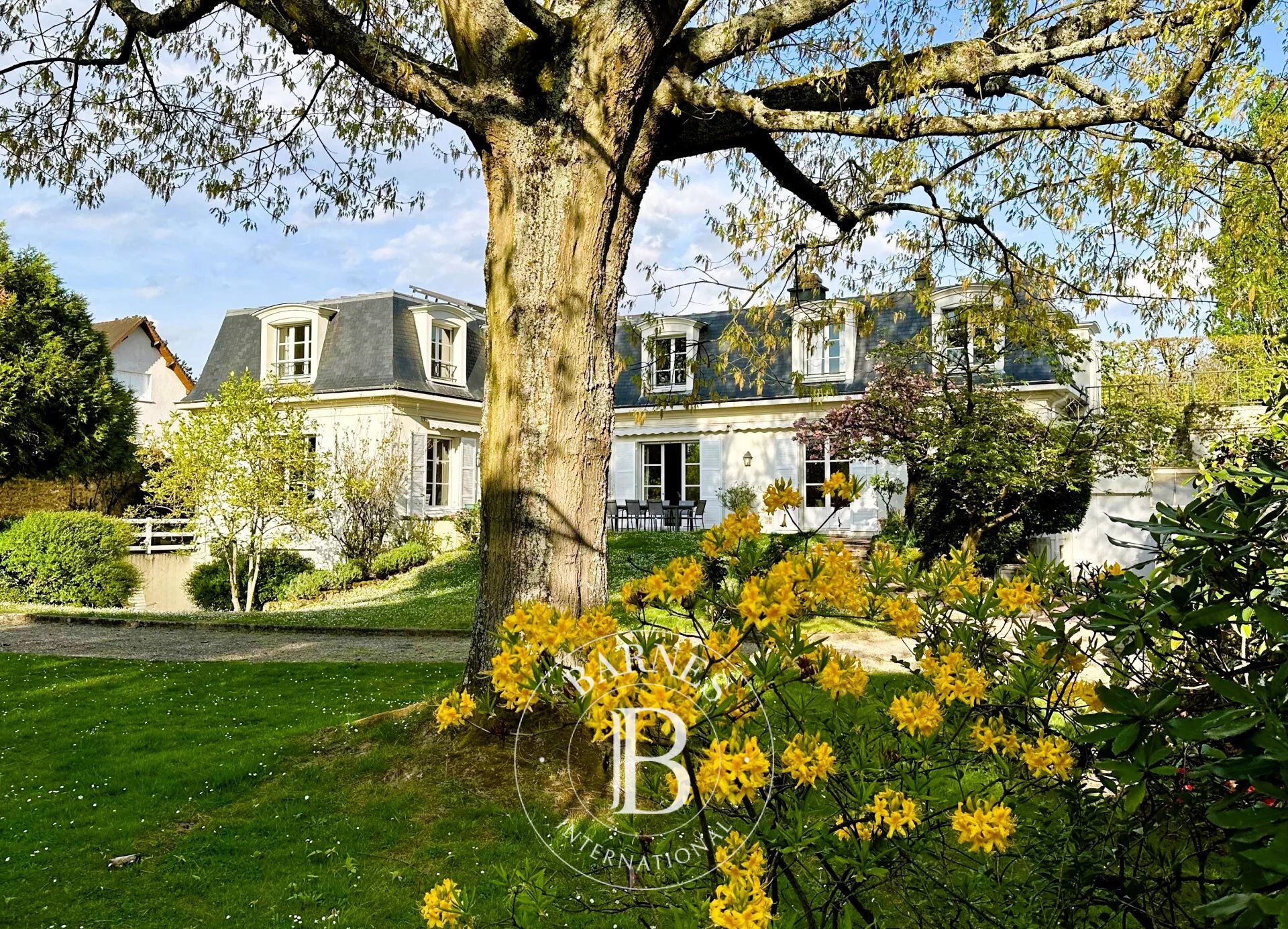 Casa Versailles - picture 2