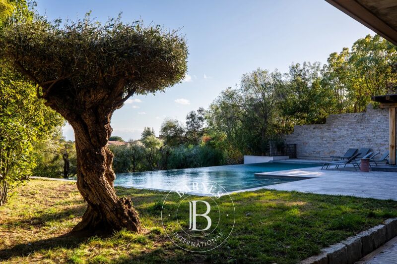 À louer Villa | Porto-Vecchio - picture 2