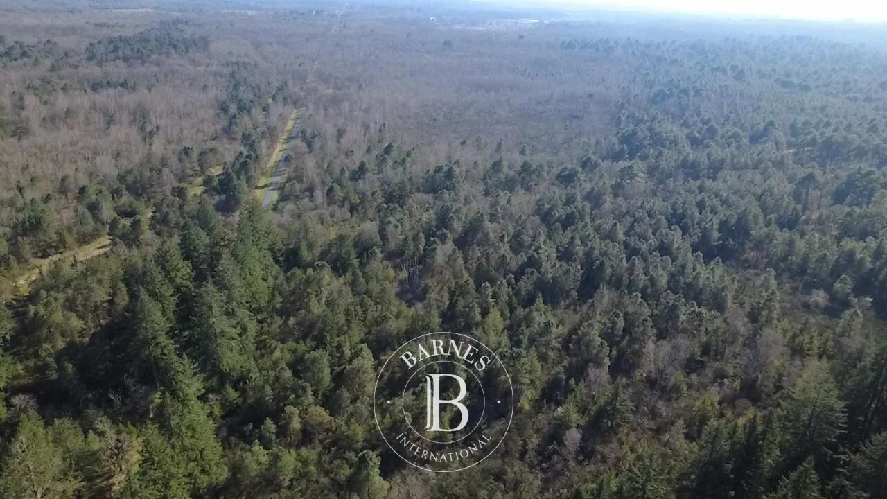 For Sale Game reserve | Brinon-sur-Sauldre - picture 9