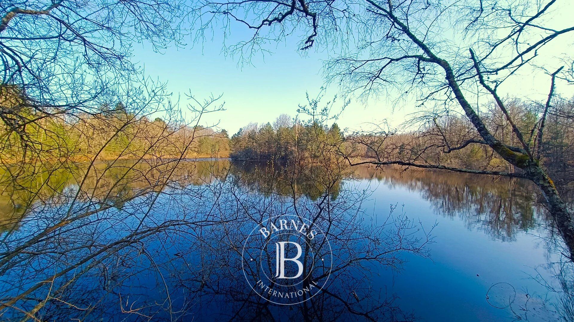 For Sale Game reserve | Brinon-sur-Sauldre - picture 6