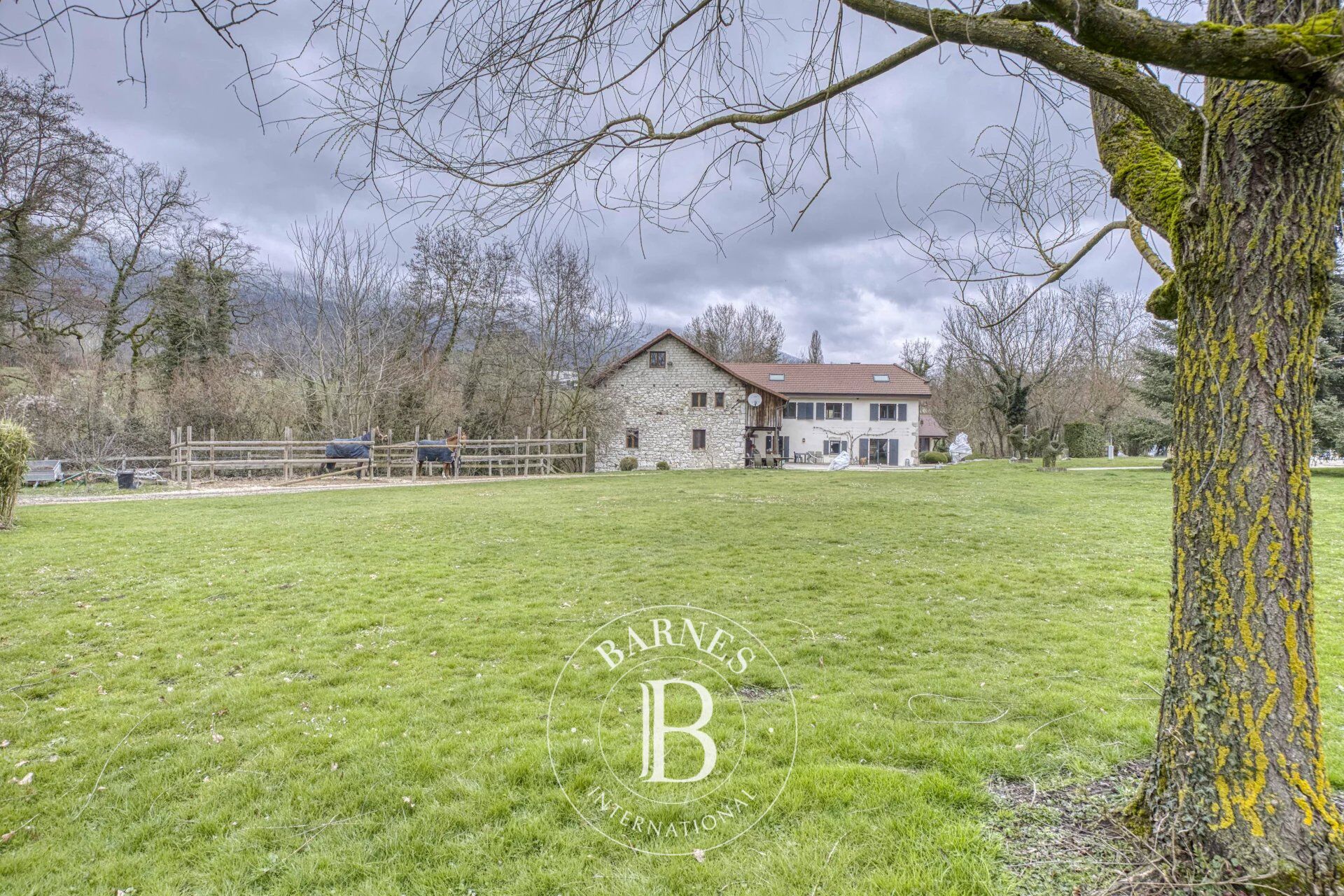 BARNES Pays de Gex - SAINT-GENIS-POUILLY - EXCEPTIONAL PROPERTY WITH EQUESTRIAN FACILITIES - picture 2