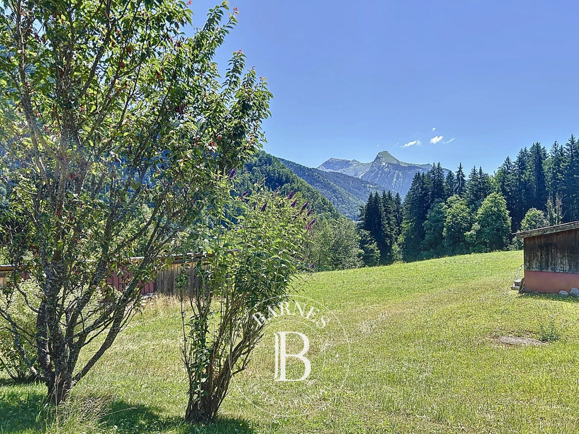 Dağ evi Essert-Romand - picture 8