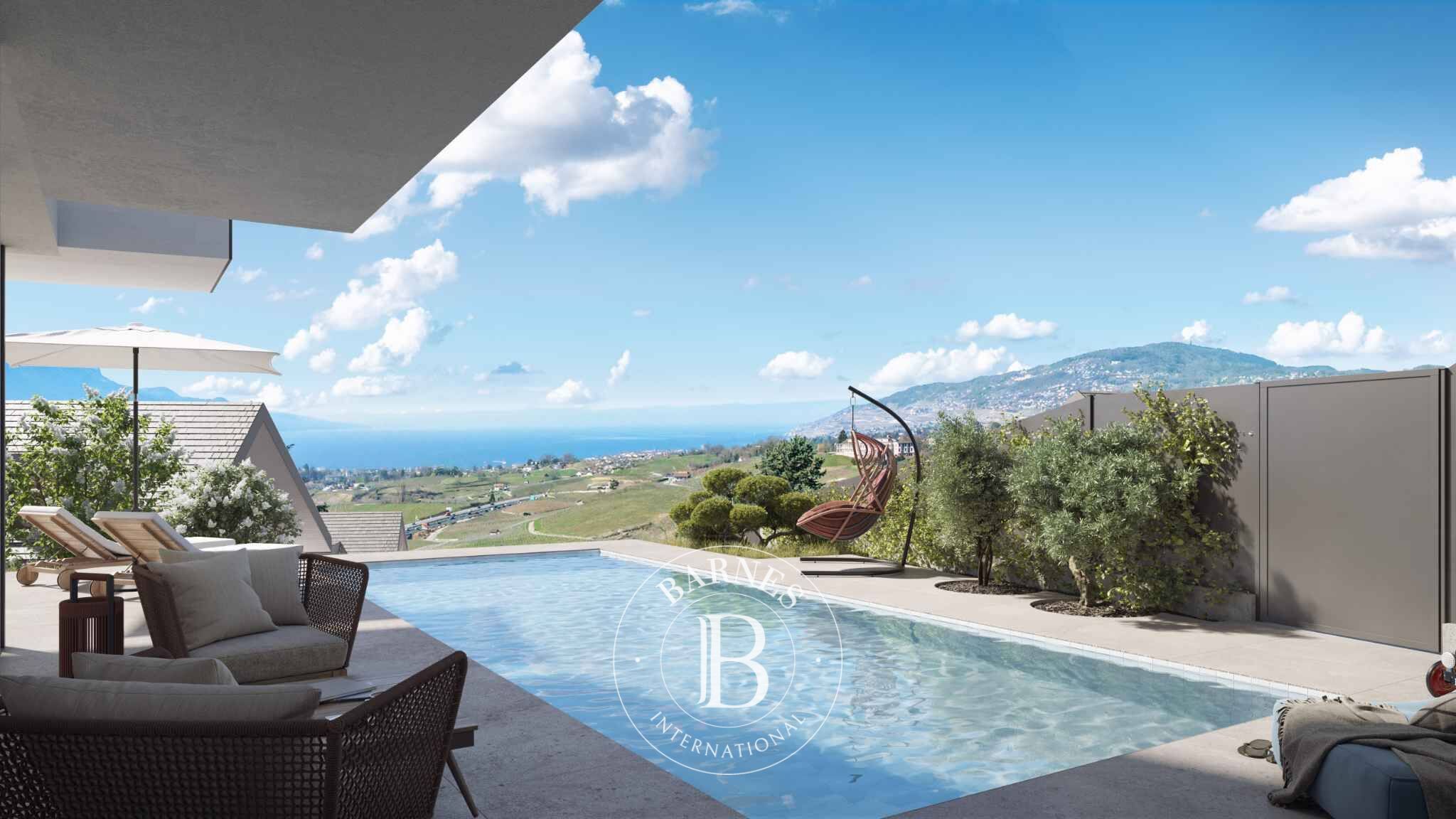 ikiz villa Blonay  - picture 5