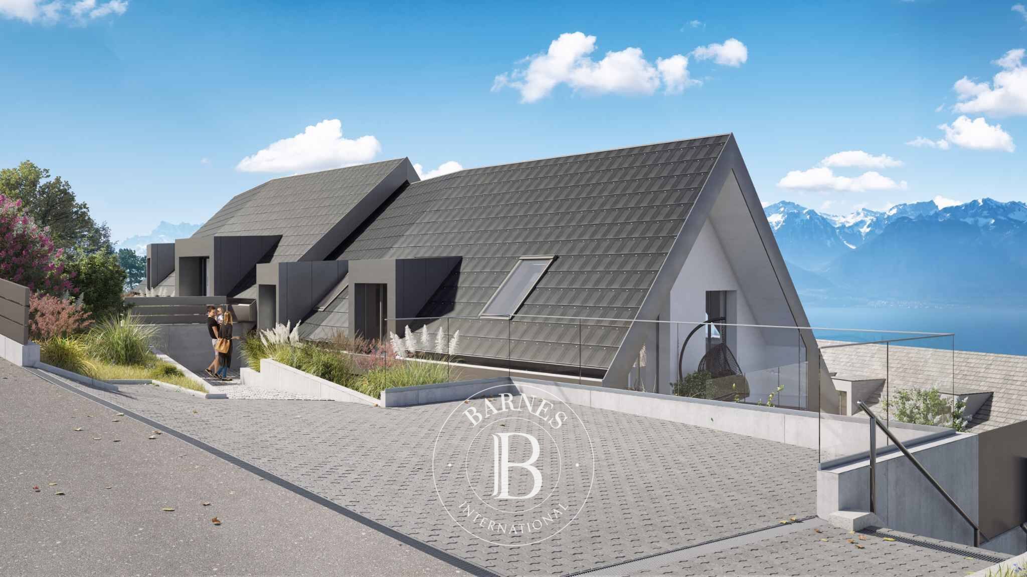 ikiz villa Blonay  - picture 8