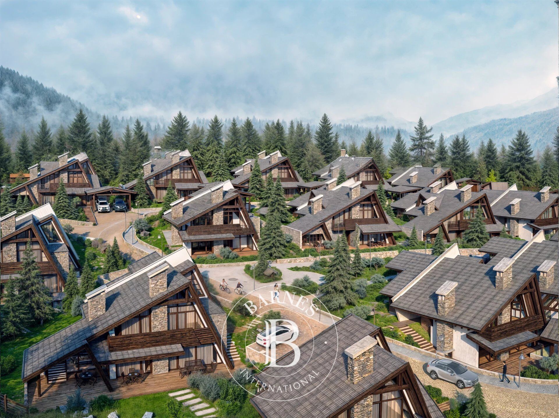 Maison Bansko - picture 2