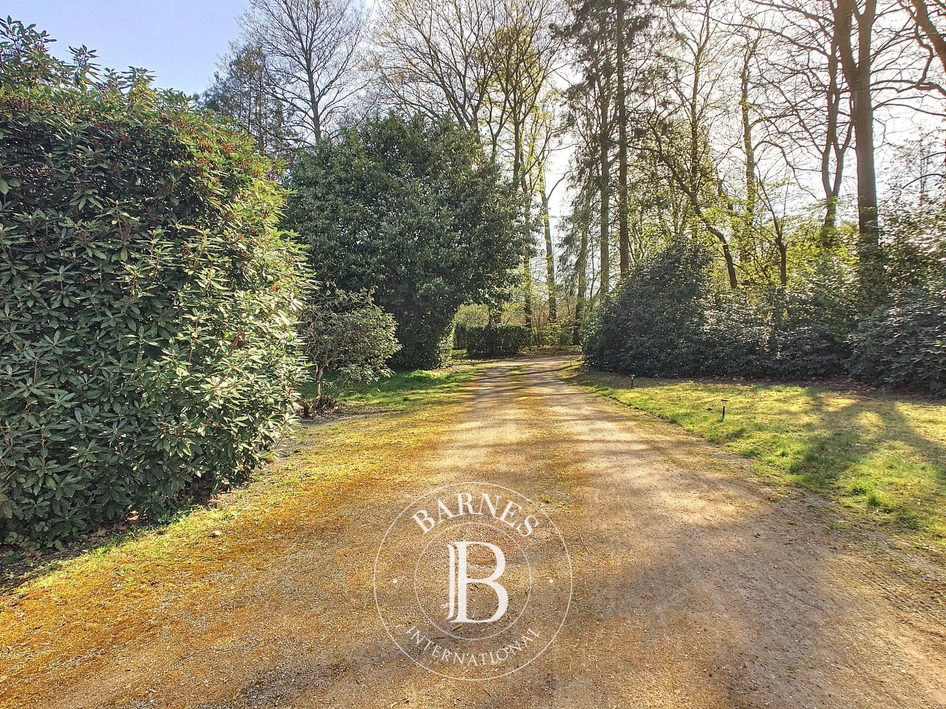 Zemin Uccle - picture 5