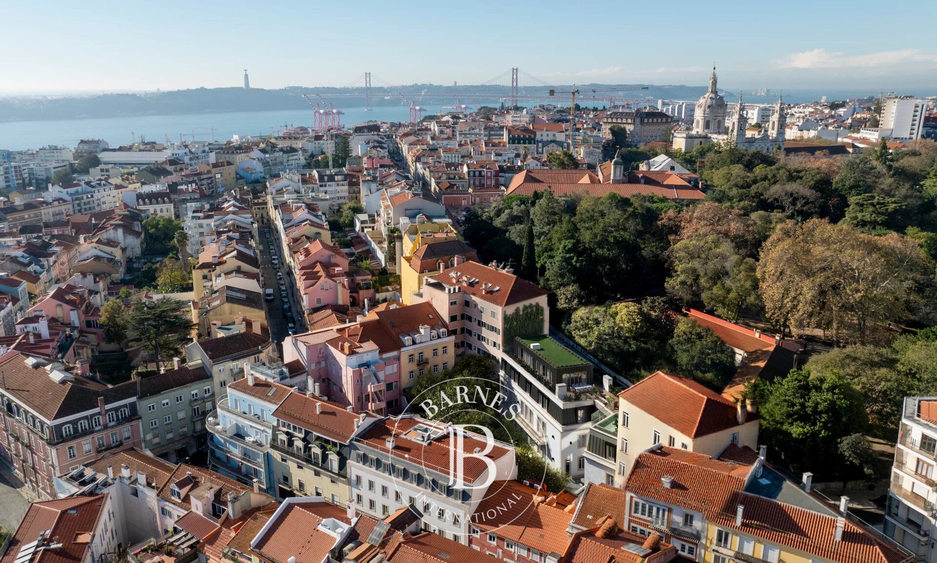 Ev Estrela - picture 13