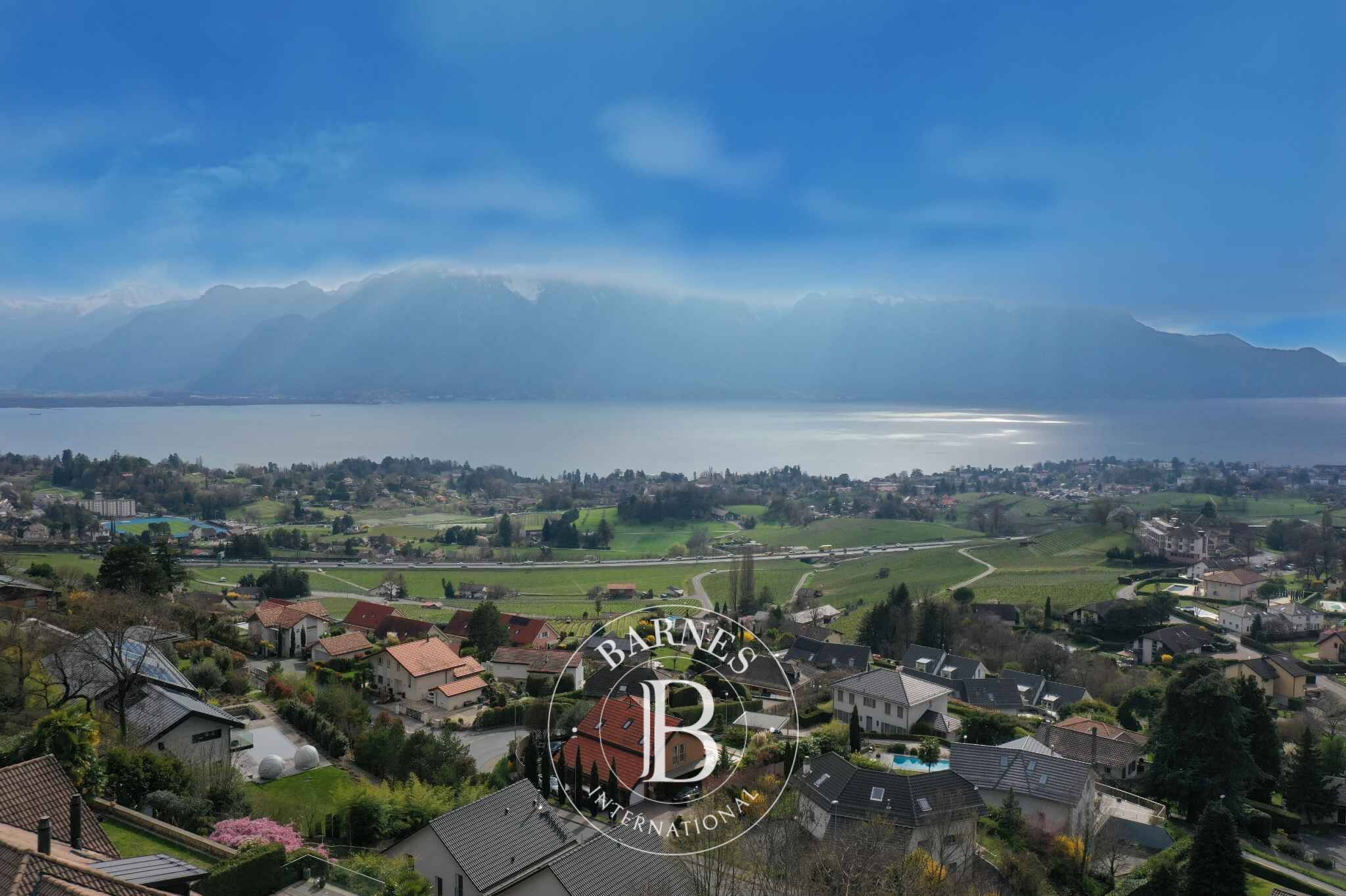 ikiz villa Blonay - picture 5