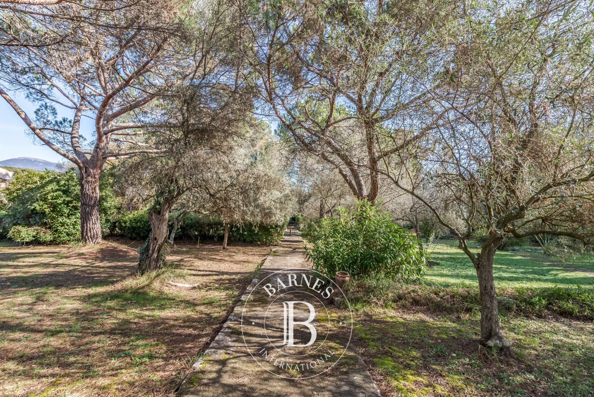 Mülkiyet Mougins - picture 19