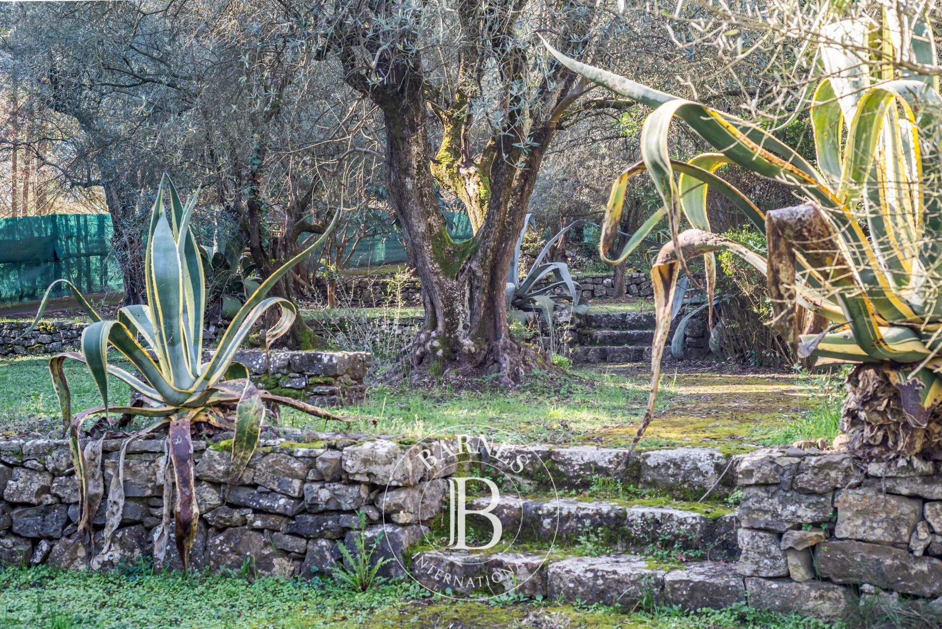 Mülkiyet Mougins - picture 14