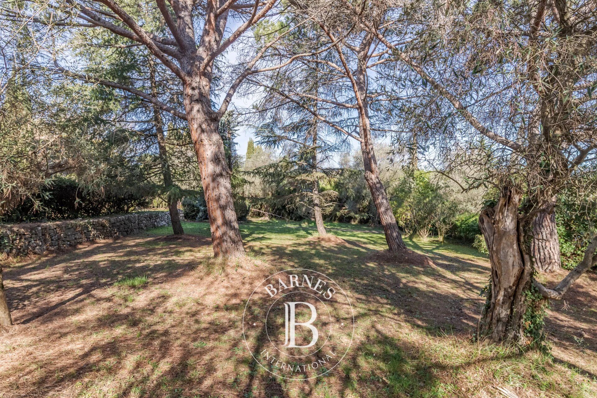 Arazi Mougins - picture 11