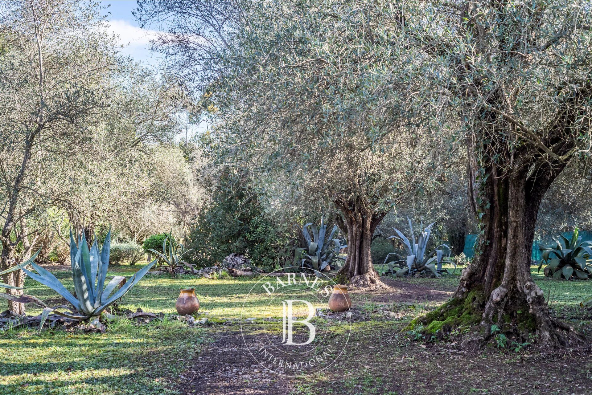 Arazi Mougins - picture 9