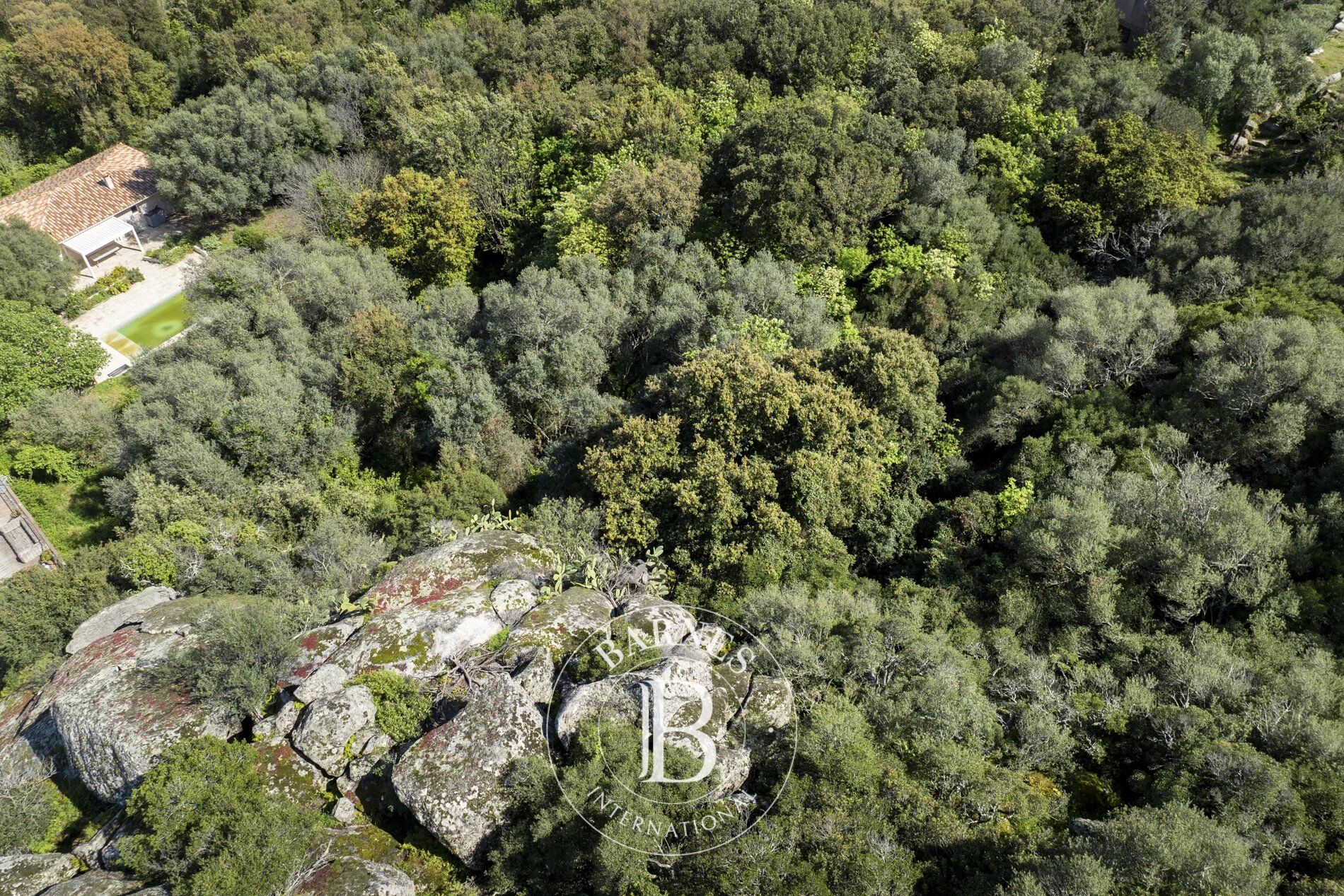 Exclusivité - Porto-Vecchio, terrain constructible avec permis et aperçu mer et montagnes - picture 2