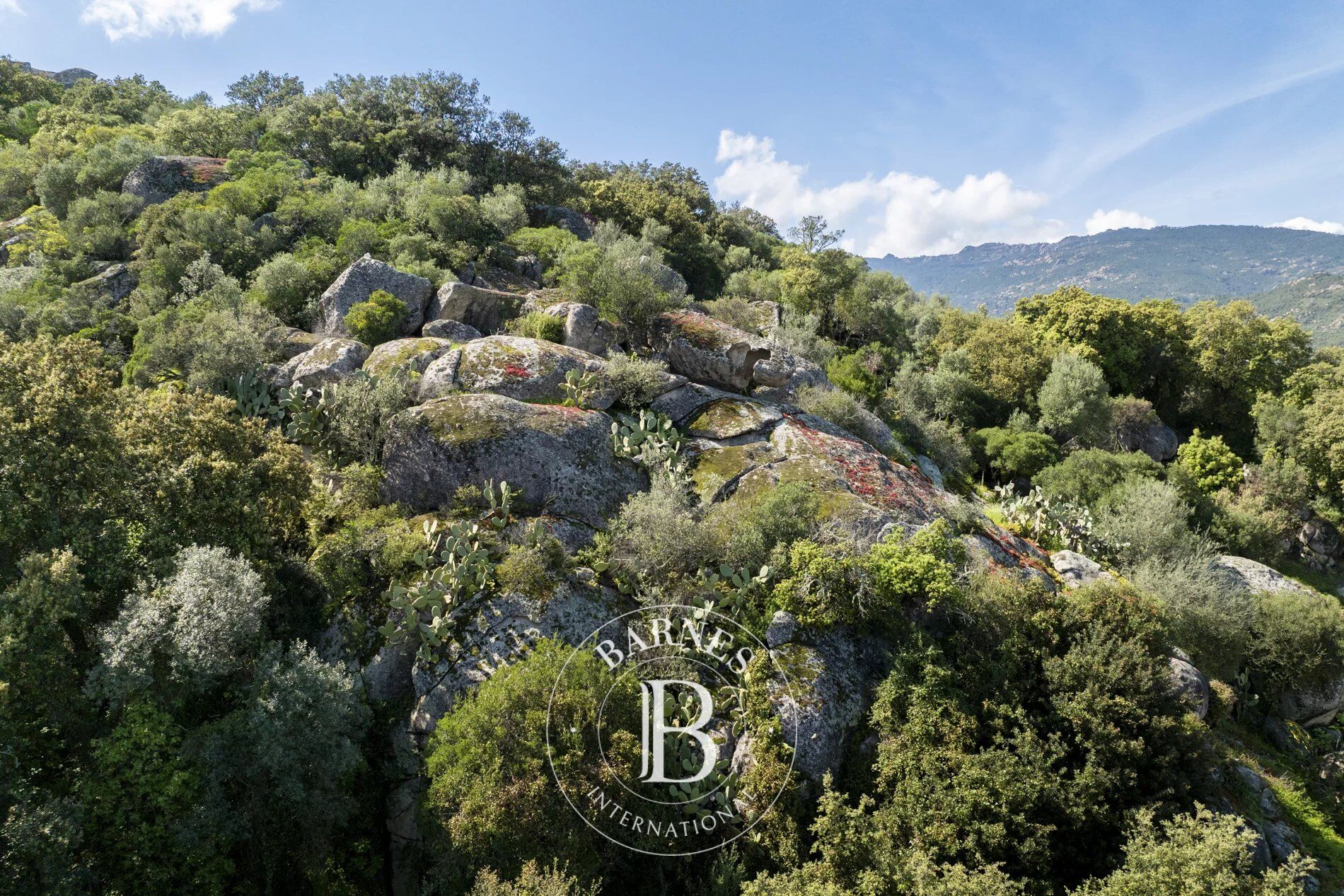 Exclusivité - Porto-Vecchio, terrain constructible avec permis et aperçu mer et montagnes - picture 3