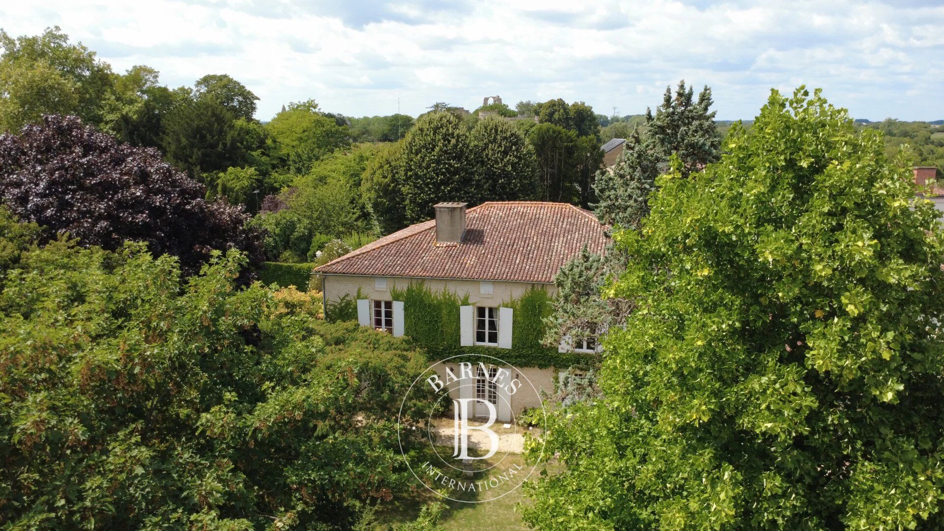 Casa solariega Maillezais - picture 2