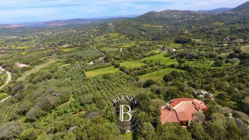 Venta, Villa Palau - picture 1