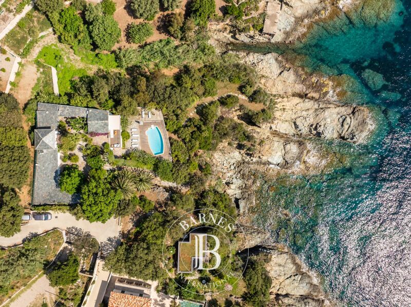 À vendre, Villa Erbalunga - picture 3