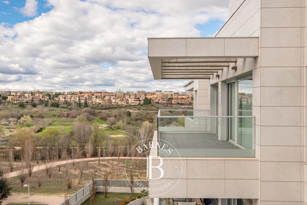 Daire Madrid - picture 40