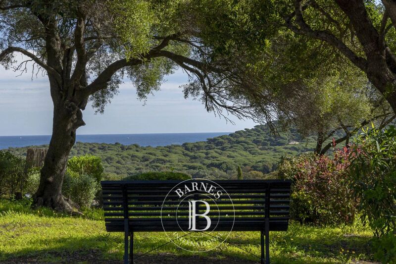 Vendido, Villa Porto-Vecchio - picture 2