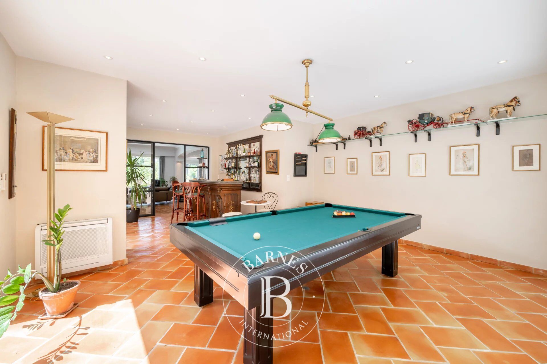 Ev Mougins - picture 14