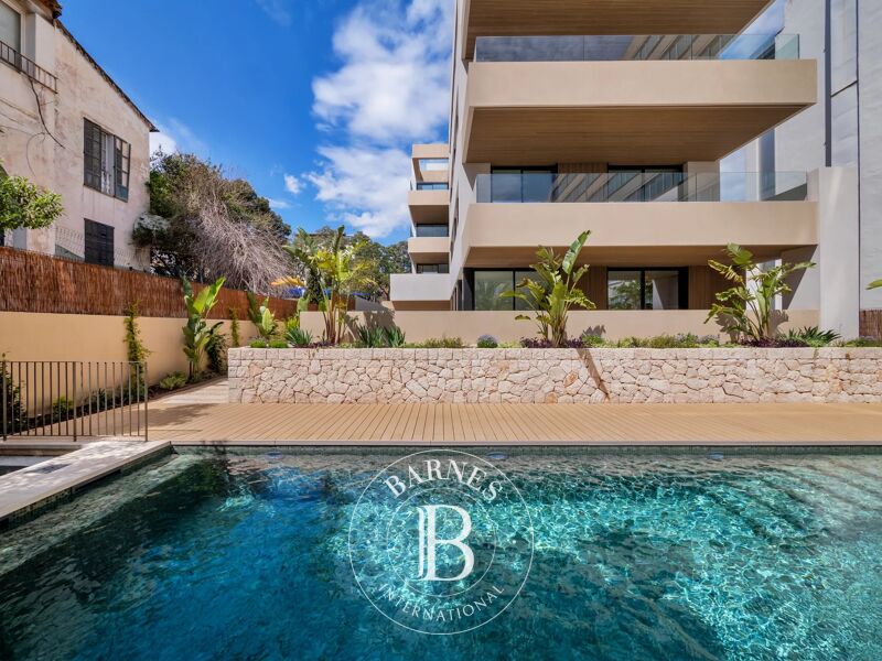 Appartamento Luminoso e Spazioso con Terrazza Orientata al Sud