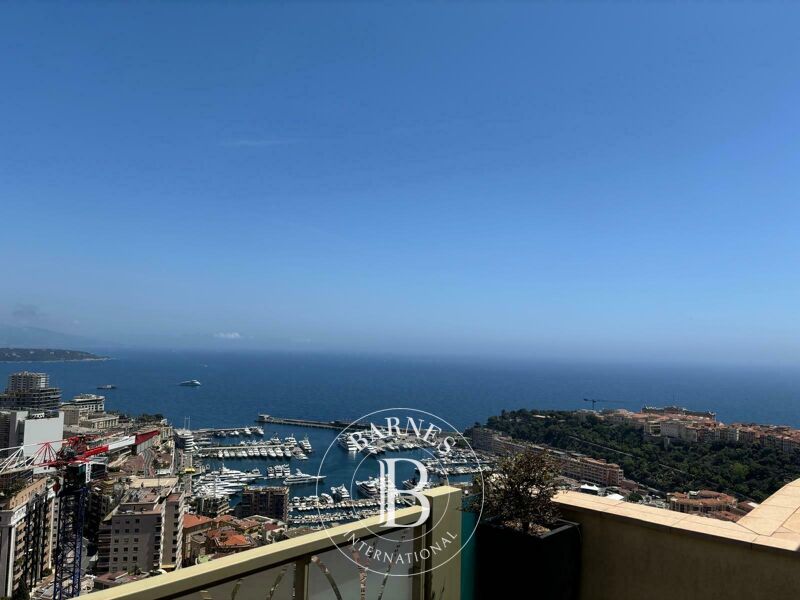 For Sale Apartment | Monaco - picture 1