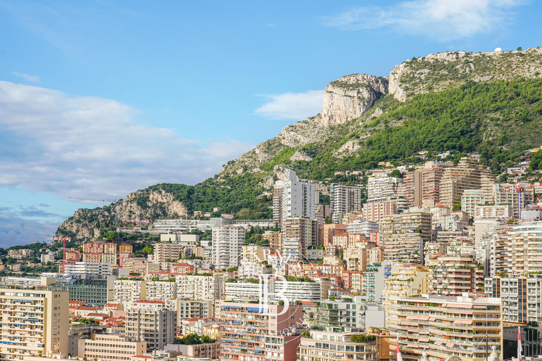 Daire Monaco - picture 7